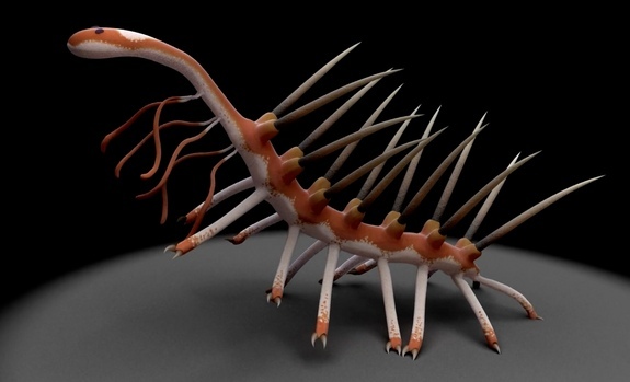 寒武纪原始海洋动物体貌:滤食性怪物形似虾