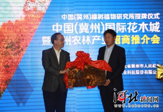 中國橡樹産業聯盟在冀州成立（圖）