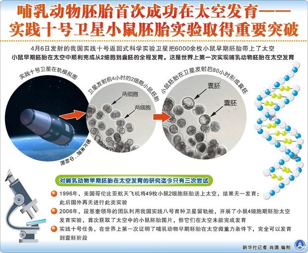 世界首次！中国实现哺乳动物胚胎在太空发育