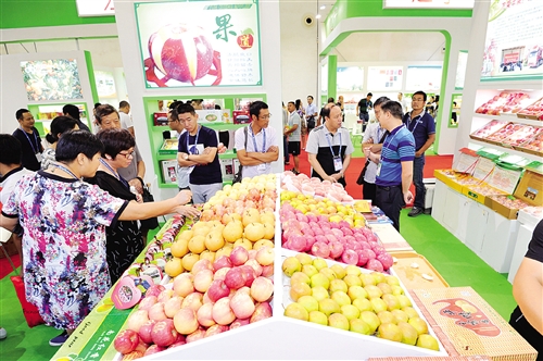中国—东盟农业国际合作展开幕 高品质农产品亮相