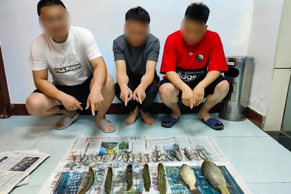 利用麻柳叶毒鱼 万州3男子触法网被抓获