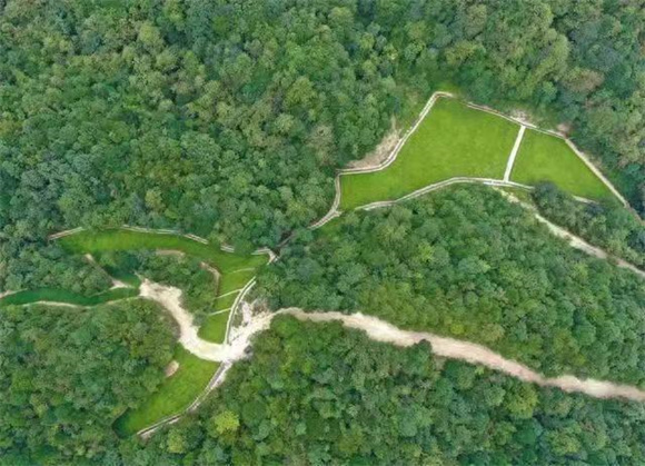 江西全南：康养为路 努力蹚出国有林场绿色发展新路子
